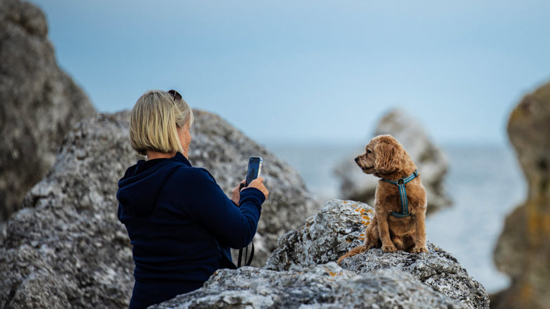 Varför ska jag bidra?